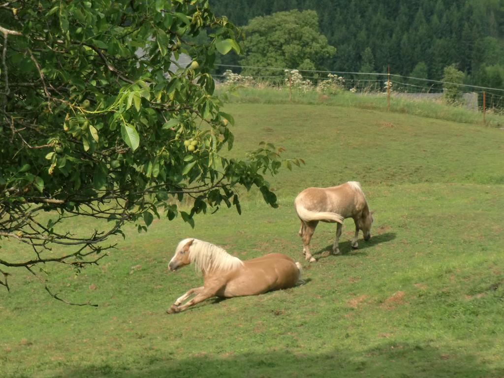 Ferienwohnungen Jodlbauerhof ไวแร็กก์ ภายนอก รูปภาพ